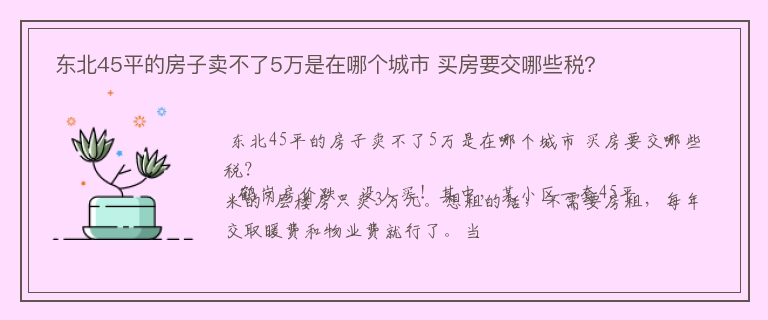  东北45平的房子卖不了5万是在哪个城市 买房要交哪些税？