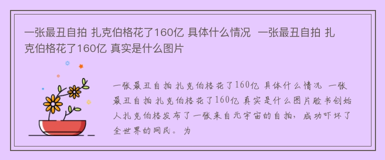 一张最丑自拍 扎克伯格花了160亿 具体什么情况  一张最丑自拍 扎克伯格花了160亿 真实是什么图片