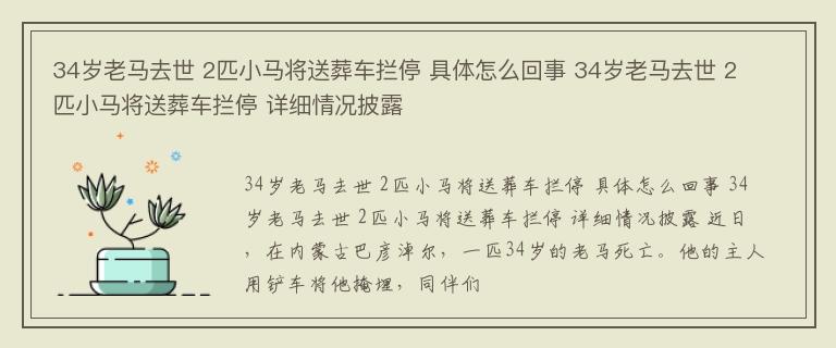 34岁老马去世 2匹小马将送葬车拦停 具体怎么回事 34岁老马去世 2匹小马将送葬车拦停 详细情况披露