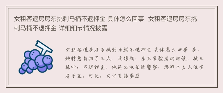 女租客退房房东挑刺马桶不退押金 具体怎么回事  女租客退房房东挑刺马桶不退押金 详细细节情况披露