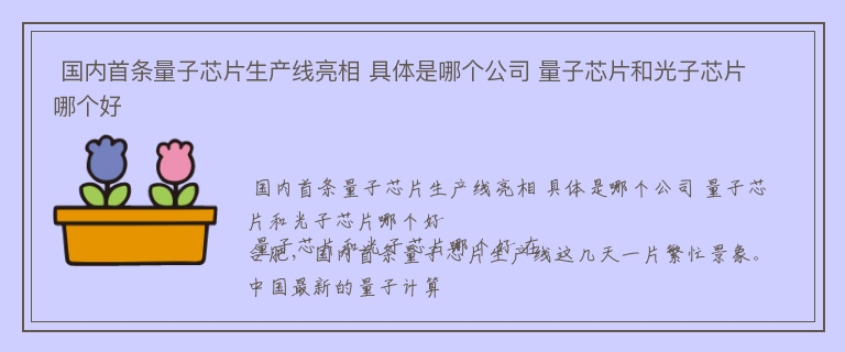  国内首条量子芯片生产线亮相 具体是哪个公司 量子芯片和光子芯片哪个好