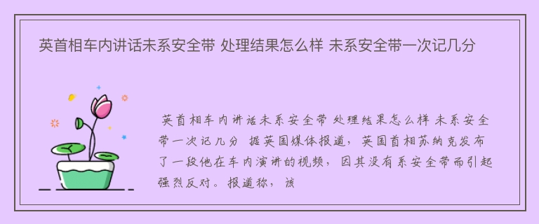  英首相车内讲话未系安全带 处理结果怎么样 未系安全带一次记几分