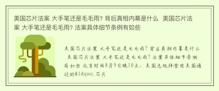 美国芯片法案 大手笔还是毛毛雨? 背后真相内幕是什么  美国芯片法案 大手笔还是毛毛雨? 法案具体细节条例有如些