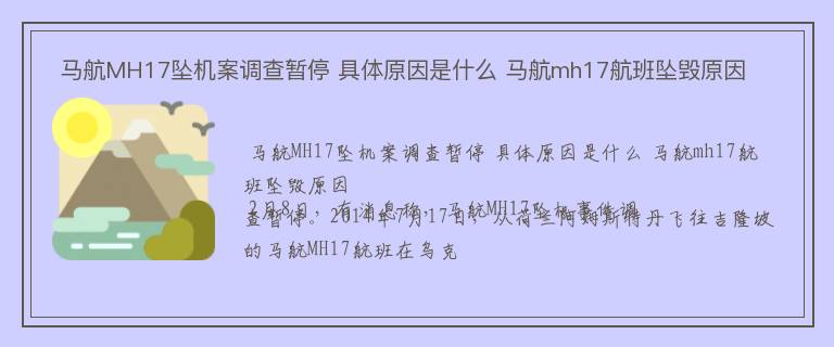  马航MH17坠机案调查暂停 具体原因是什么 马航mh17航班坠毁原因