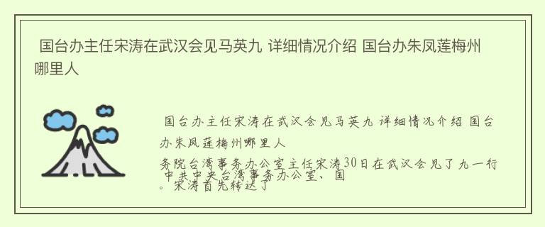  国台办主任宋涛在武汉会见马英九 详细情况介绍 国台办朱凤莲梅州哪里人