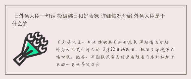  日外务大臣一句话 撕破韩日和好表象 详细情况介绍 外务大臣是干什么的