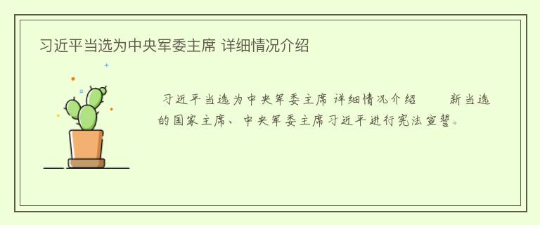  习近平当选为中央军委主席 详细情况介绍