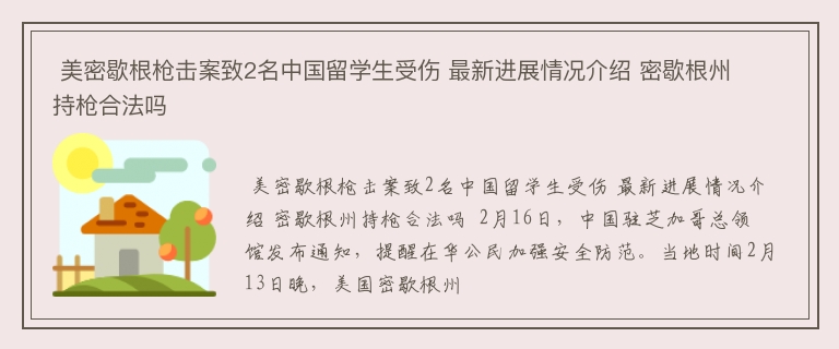  美密歇根枪击案致2名中国留学生受伤 最新进展情况介绍 密歇根州持枪合法吗