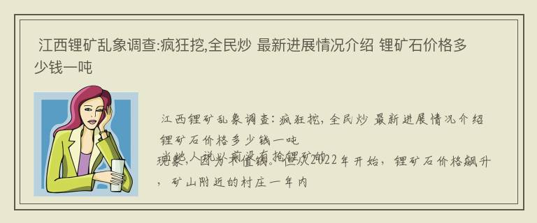  江西锂矿乱象调查:疯狂挖,全民炒 最新进展情况介绍 锂矿石价格多少钱一吨