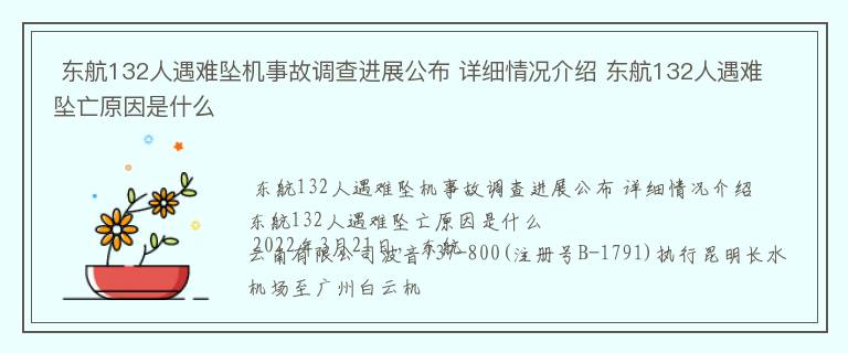  东航132人遇难坠机事故调查进展公布 详细情况介绍 东航132人遇难坠亡原因是什么