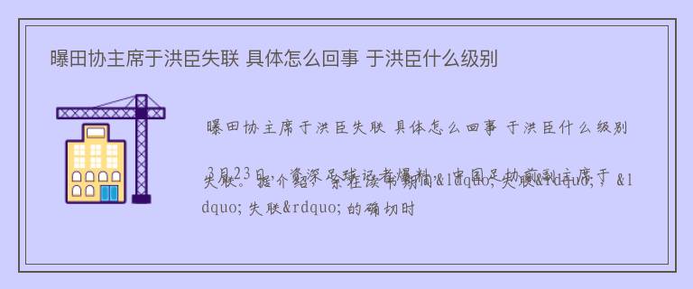  曝田协主席于洪臣失联 具体怎么回事 于洪臣什么级别