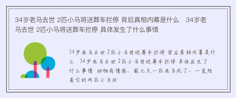 34岁老马去世 2匹小马将送葬车拦停 背后真相内幕是什么   34岁老马去世 2匹小马将送葬车拦停 具体发生了什么事情